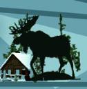Big Moose Resort