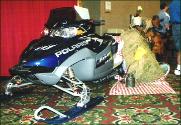 'Midwestern hospitality' at Congress.